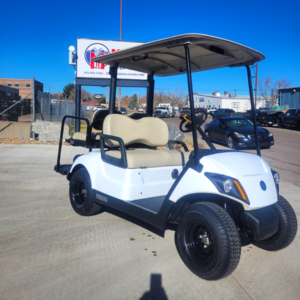 2019 Glacier White Yamaha PTV/ Electric