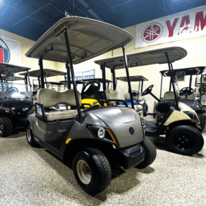 2020 Yamaha PTV Titan/ Electric