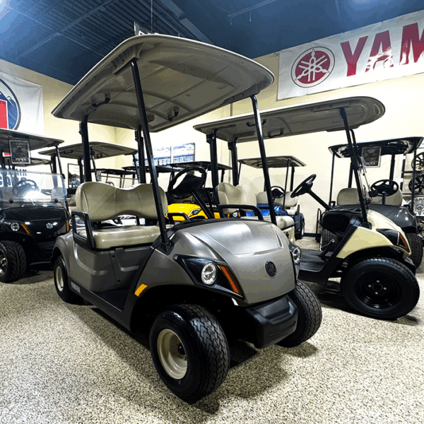2020 Yamaha PTV Titan/ Electric - Image 2