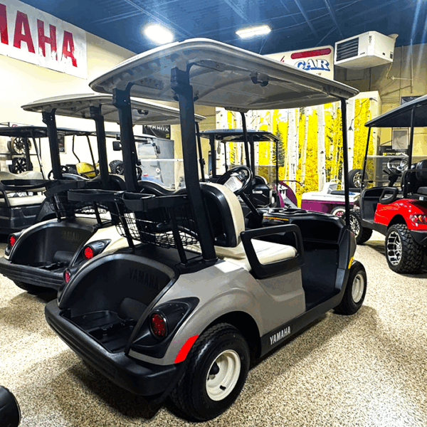 2020 Yamaha PTV Titan/ Electric - Image 4