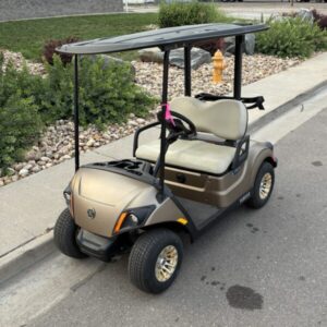 2023 Yamaha PTV Electric Mica Matte