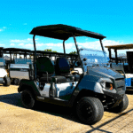 2025 Carbon Metallic Yamaha UMAX EFI Utility Golf Cart | Gas